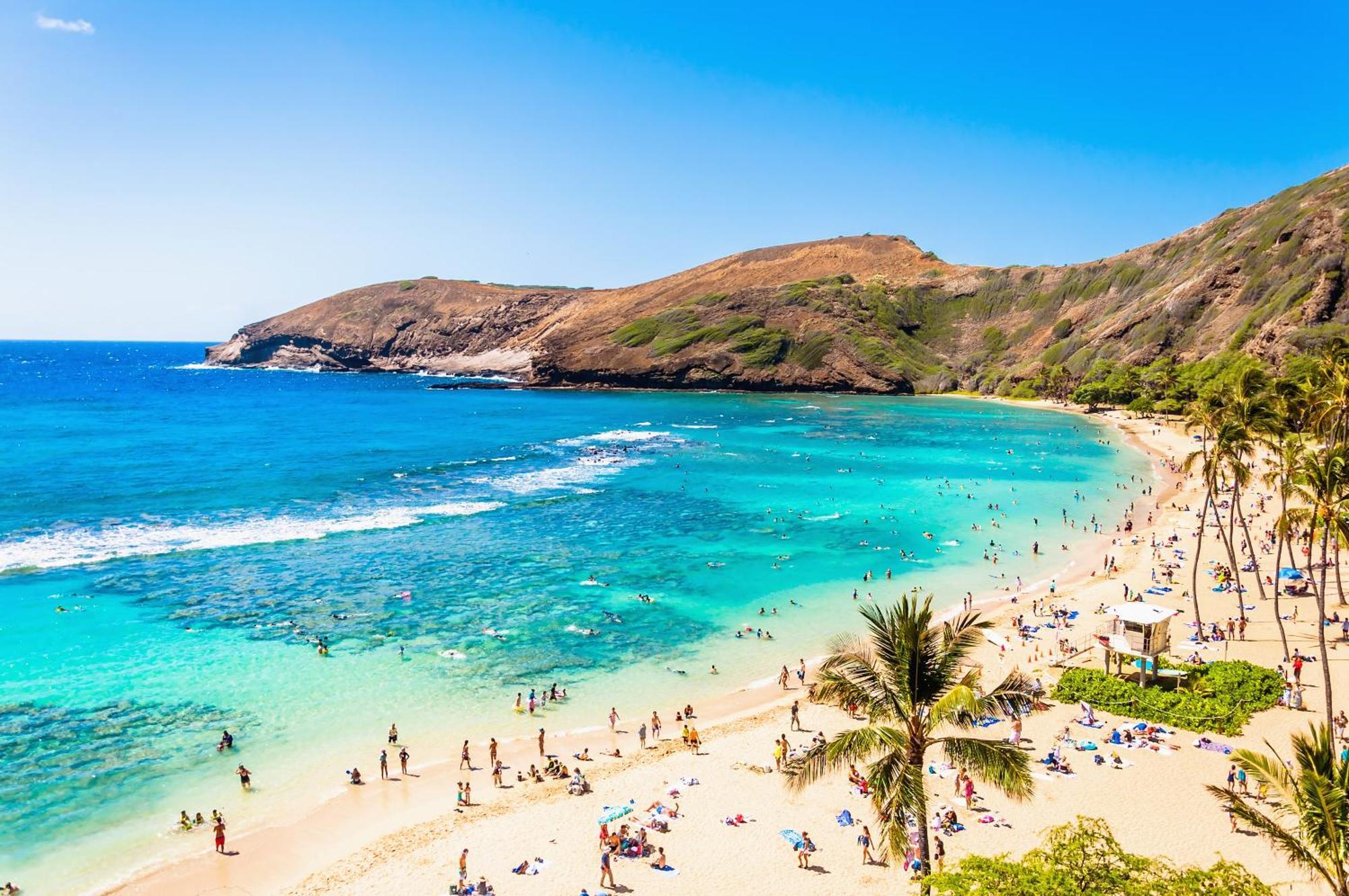 Renovated With City View At Aqua Palms Waikiki 호놀룰루 외부 사진